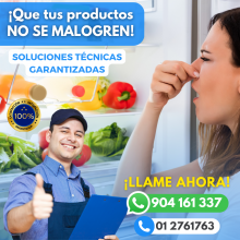 Potent Servicio de «Refrigeradora» General Electric 01 2761763 - Independencia